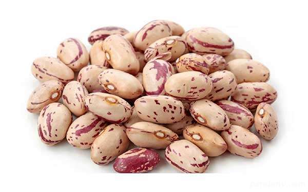 خواص لوبیا چیتی