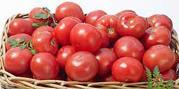 طرز تهیه املت اسپانیایی خوشمزه