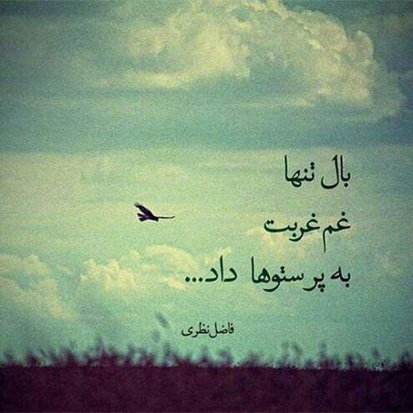 بیوگرافی فاضل نظری