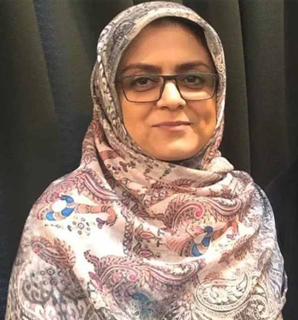 مشاور وزیر