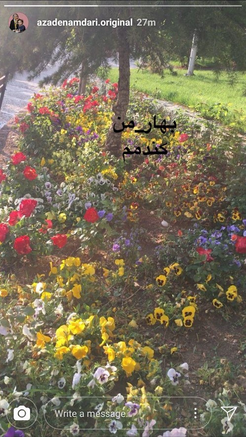 استوری چهره های مشهور 36