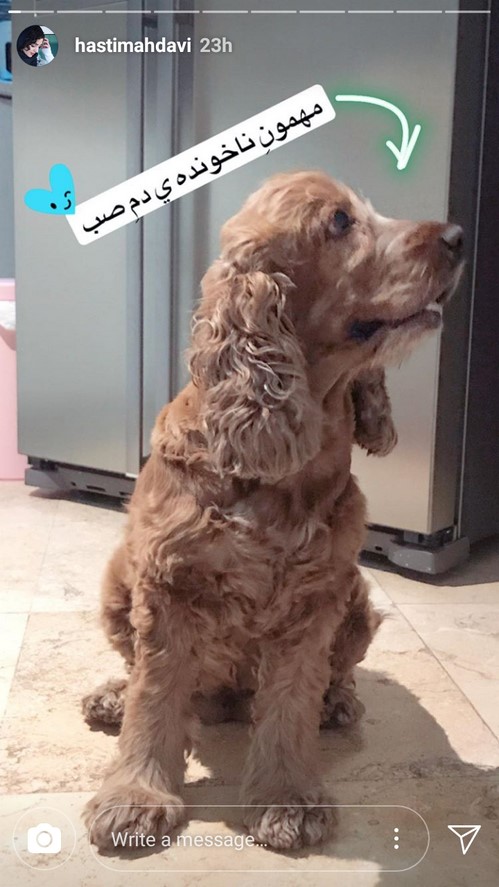 اینستاگرام هنرمندان 67