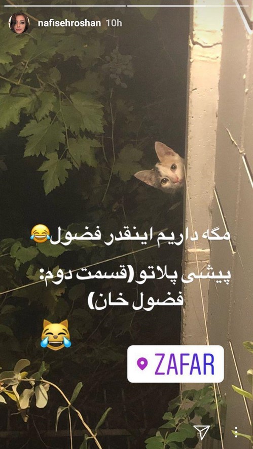 اینستاگرام هنرمندان 84