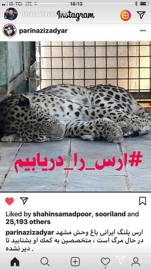 اینستاگرام هنرمندان 84