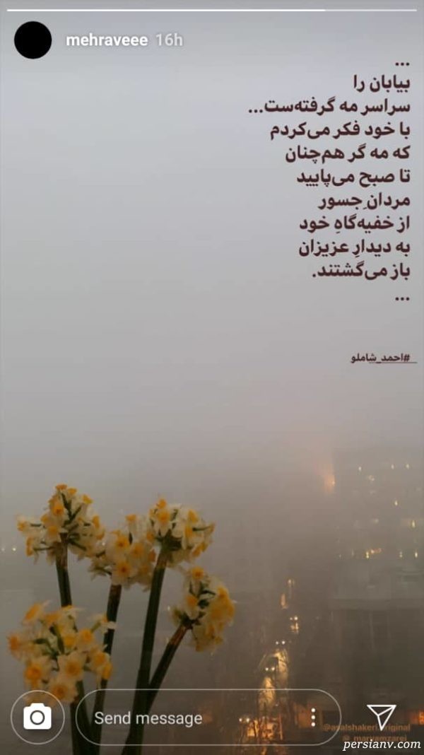 پناه و نبات استخری