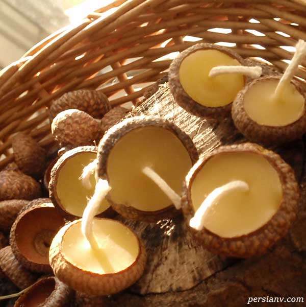 دکوراسیون منزل با میوه بلوط