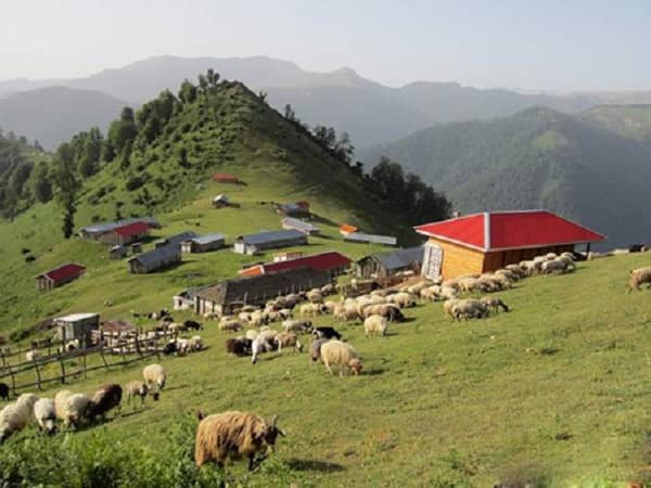 طبیعت زیبای ماسال