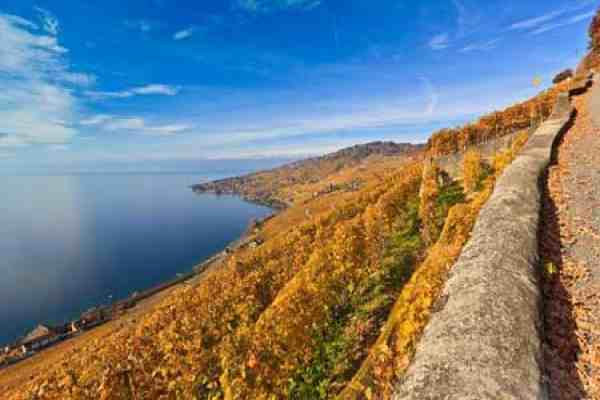 جاذبه های دیدنی سویس