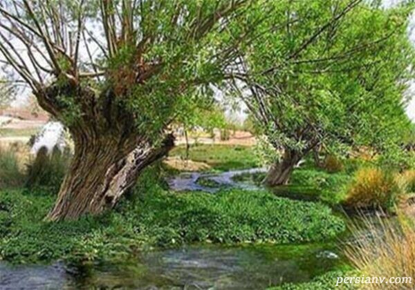 گردشگری