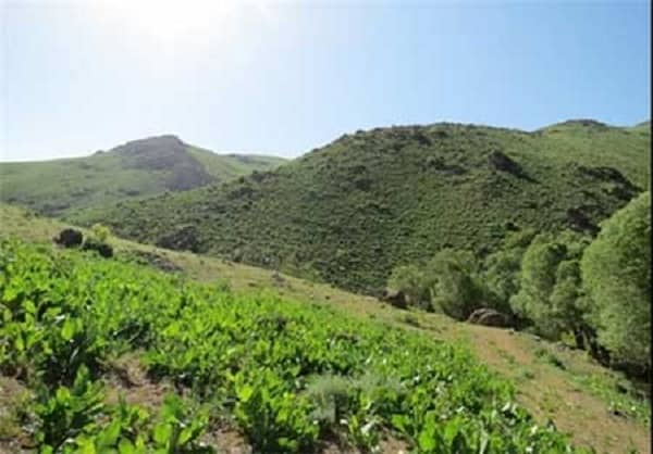 چهل ‌چشمه دیواندره