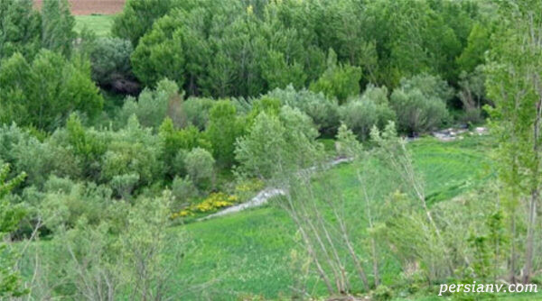 جاذبه گردشگری