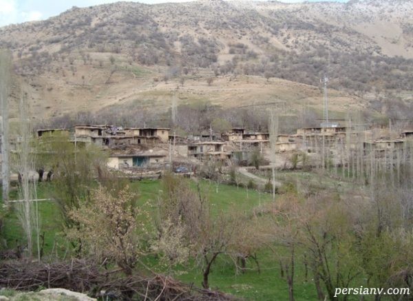 چشمه چنار