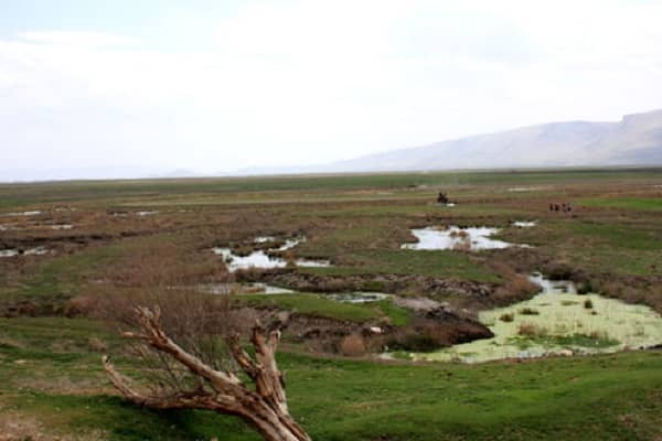 تالاب کرمانشاه