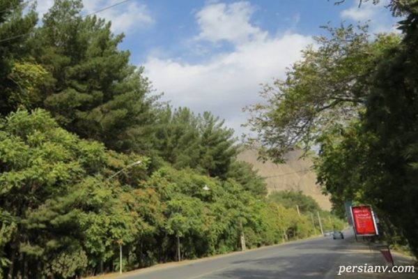 پارک جنگلی قائم کرمان