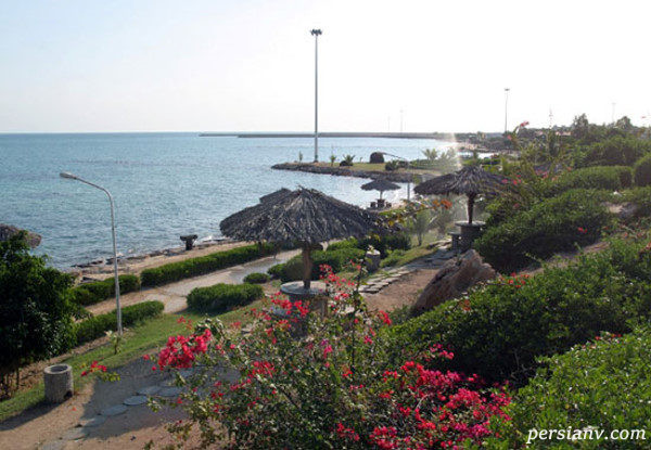 سفر به جزایر خلیج فارس