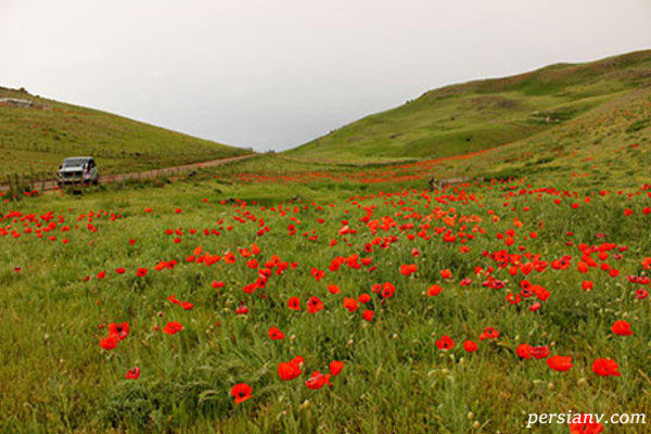 سوباتان بهشت ایران