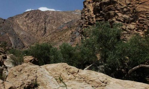 دیدنی های ماهان کرمان