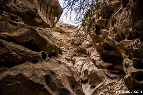 جاذبه هایی قشم