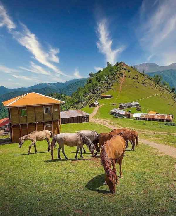 جاذبه‌های گردشگری و مناطق سرسبز گیلان 
