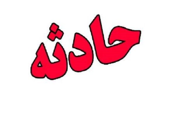 ضرب و شت پلیس توسط نماینده مجلس