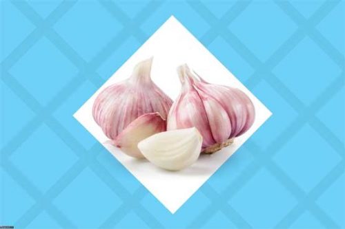 مواد غذایی ضد سرطان
