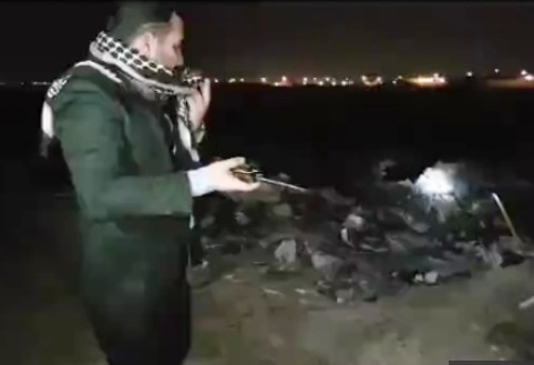 سوزاندن سگها