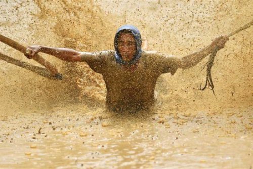 مسابقه گاوبازی