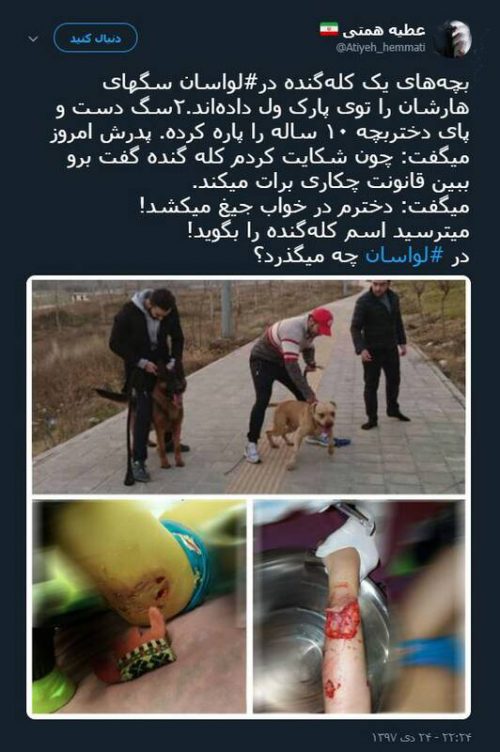 دو سگ هار در لواسان سگ های هار