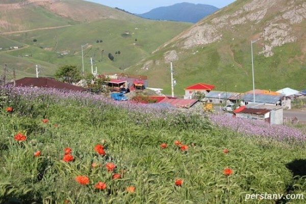 ÙØªÛØ¬Ù ØªØµÙÛØ±Û Ø¨Ø±Ø§Û Ø¬Ø´Ù Ú¯Ù ÙØ§Û Ø´ÙØ§ÛÙ Ø¯Ø± Ø§Ø³Ø§ÙÙ Ù Ø®ÙØ®Ø§Ù