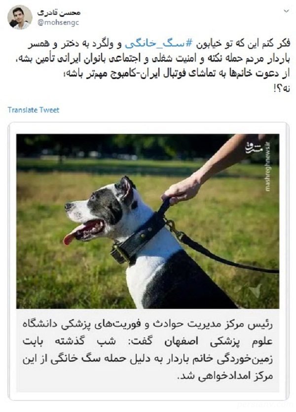 حمله سگ خانگی به زن باردار