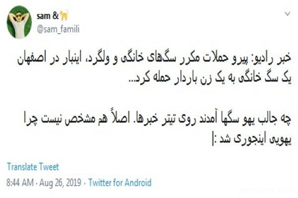 حمله سگ خانگی به زن باردار
