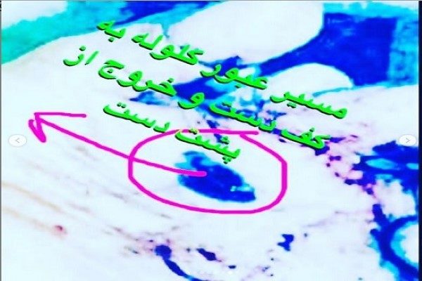 صحنه کشته شدن میترا استاد