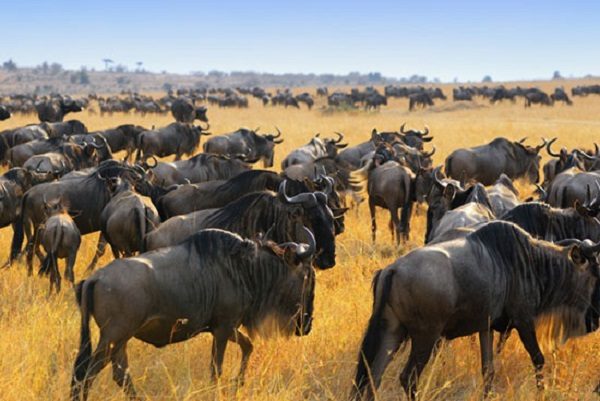 معماهای مرموز حل نشده جهان