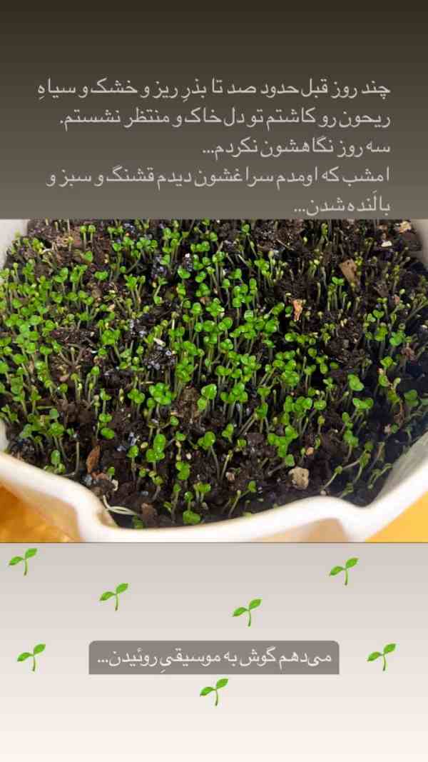 میترا رفیع در خانه