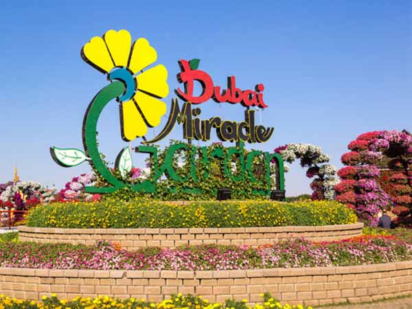 Miracle Garden 