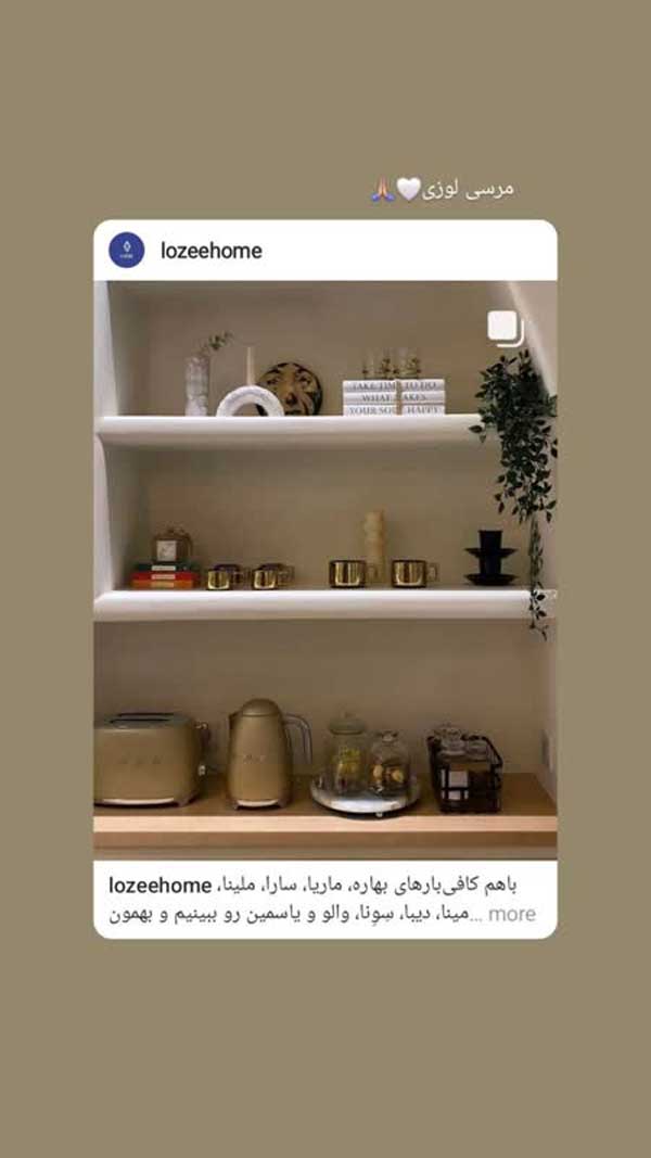 ظروف انتیک همسر بهرام رادان