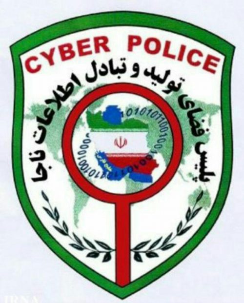 دستگیری سارق نوجوان اینترنتی