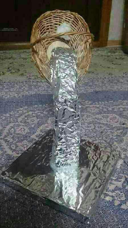آموزش کاشت سبزه هفت سین 