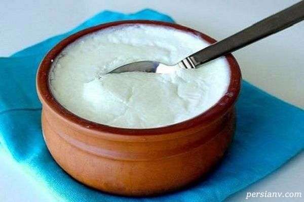 میکروب های ماست