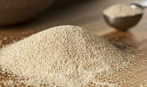 شرایط نگهداری خمیر مایه
