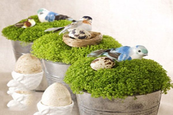 تزیین سبزه عید