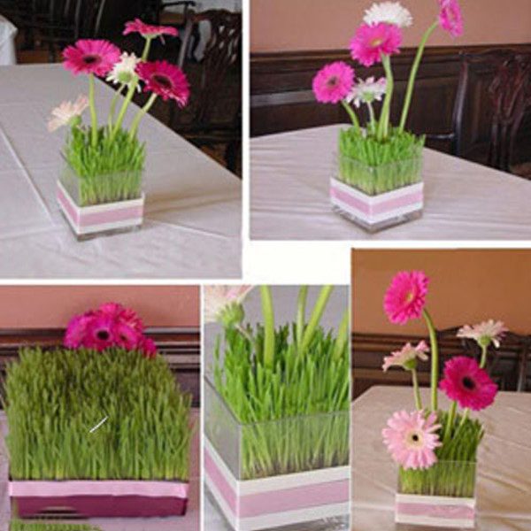 تزیین سبزه عید