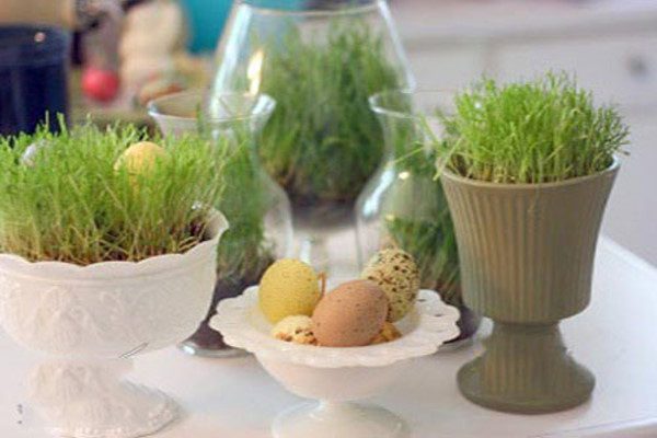 تزیین سبزه عید