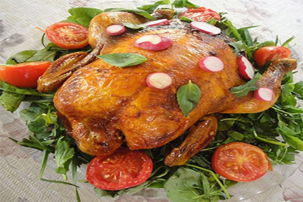 دورچین مرغ شکم پر