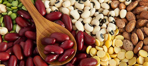 روش نگهداری حبوبات
