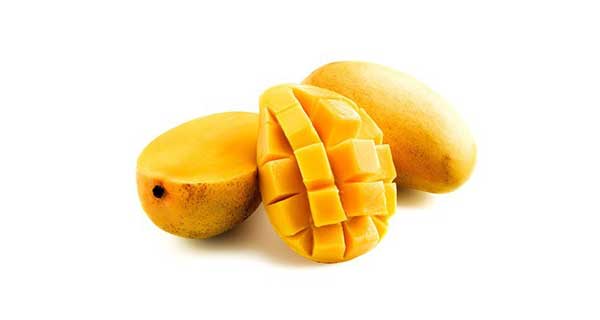 خواص درخت انبه