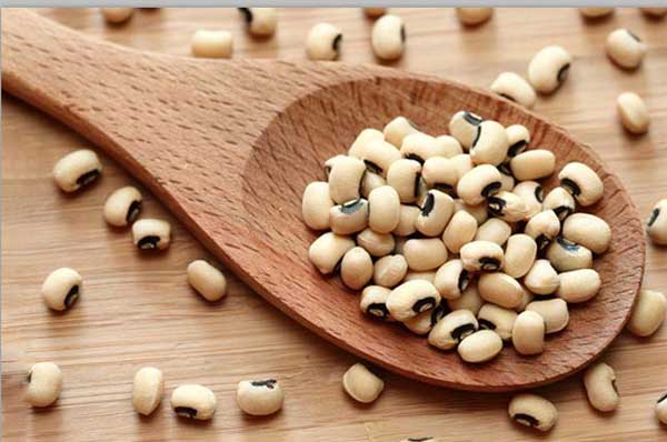 خواص بی نظیر لوبیا