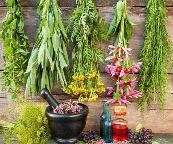 داروهای گیاهی صنعتی