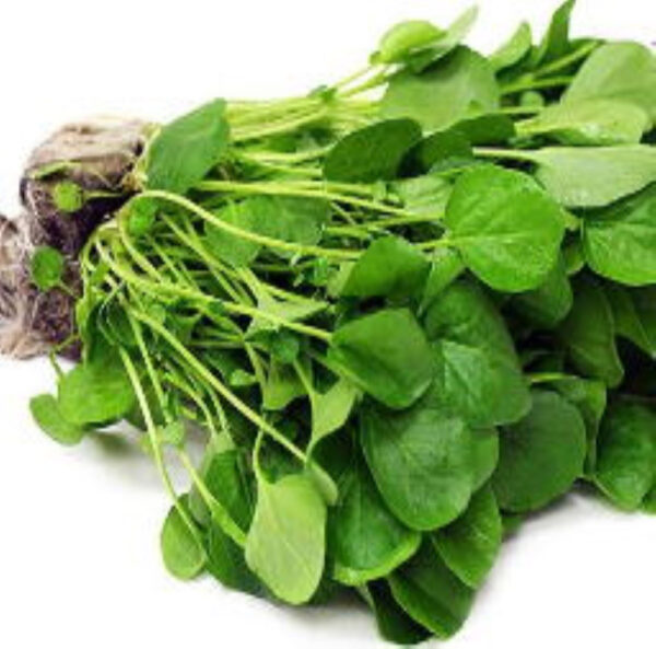 خواص دارویی شاهی