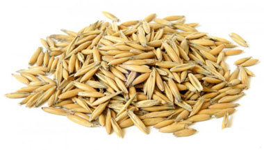 جو دوسر
